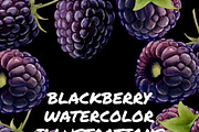 Digital Watercolor Raspberry + Bonus, a Food Illustration by wedraw (Thumbnail 3 of 4)