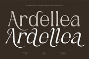 Ardellea, a Serif Font by din-studio.com (Thumbnail 1 of 16)