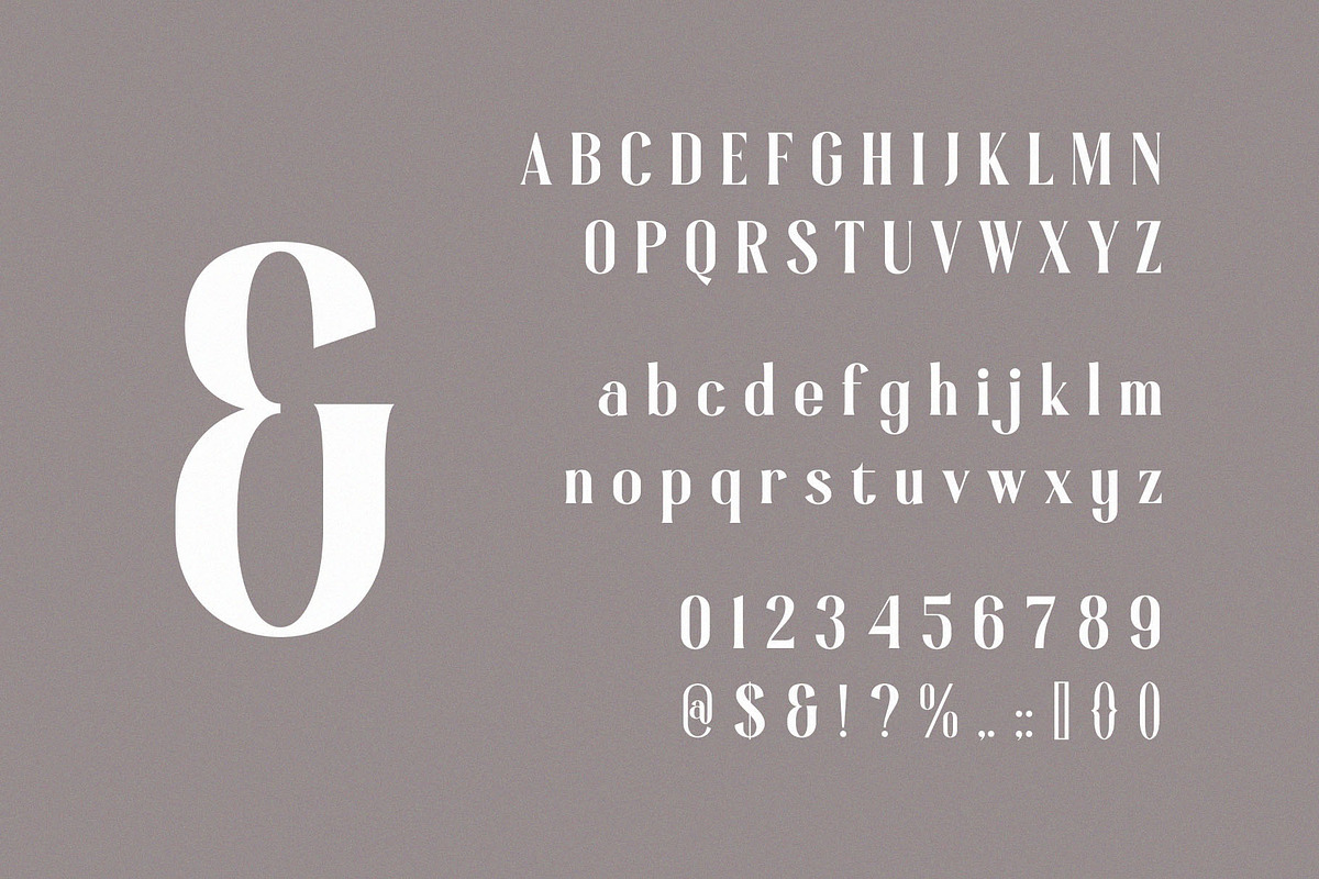 Gloscine – Classy Condensed Serif, a Serif Font by BrandSemut (Photo 8 of 8)