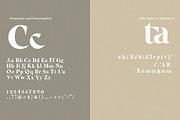 Bright Yellow Serif ( Bonus Fonts), a Serif Font by Anxiety Studio (Thumbnail 18 of 19)