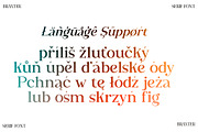 Braxter, a Serif Font by Slex Studio (Thumbnail 9 of 9)