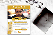 Gold Splash Media Kit - 2, a Presentation Template by Graphic Template Co (Thumbnail 2 of 3)