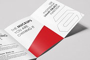A4 or A5 Trifold Mockups, a Print Template by resumetemplathttps://d3es (Thumbnail 7 of 11)