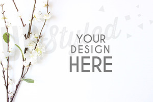 A185 Blossom Stock Photo Mock Up