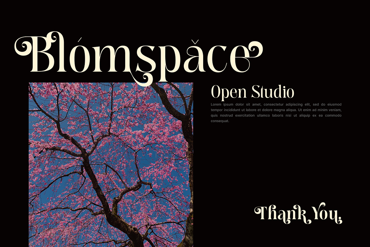 Meagre Display - 90s  Serif Family, a Serif Font by Holyline Design (Photo 6 of 15)