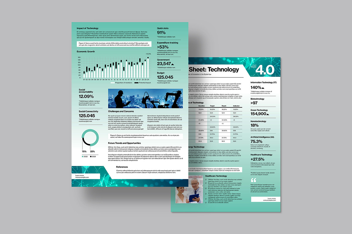Technology Fact Sheet, a Flyer Template by BrandPacks