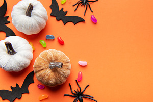 Halloween pumpkins bats spiders and candy corn on orange backgro
