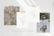 Botanical leaves - sketched florals, a Decorative Illustration by Madiwaso (Thumbnail 2 of 14)