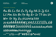 CS Belrise Stamp, a Script Font by Craft Supply Co. (Thumbnail 8 of 8)