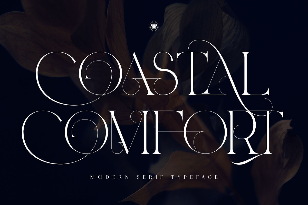 COASTAL COMFORT - LUXURY FONT, a Serif Font by 177Studio (Photo 1 of 8)