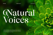 Bisquine; Display Serif Font, a Serif Font by Eko Bimantara (Thumbnail 6 of 8)