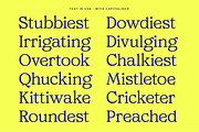 MTC Ciscela - Unique Serif Display, a Serif Font by Martype Co (Thumbnail 8 of 9)