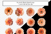 Peach Floral Clipart, Peach Flowers, an Object Graphic by AllTheKewtClipart (Thumbnail 5 of 5)