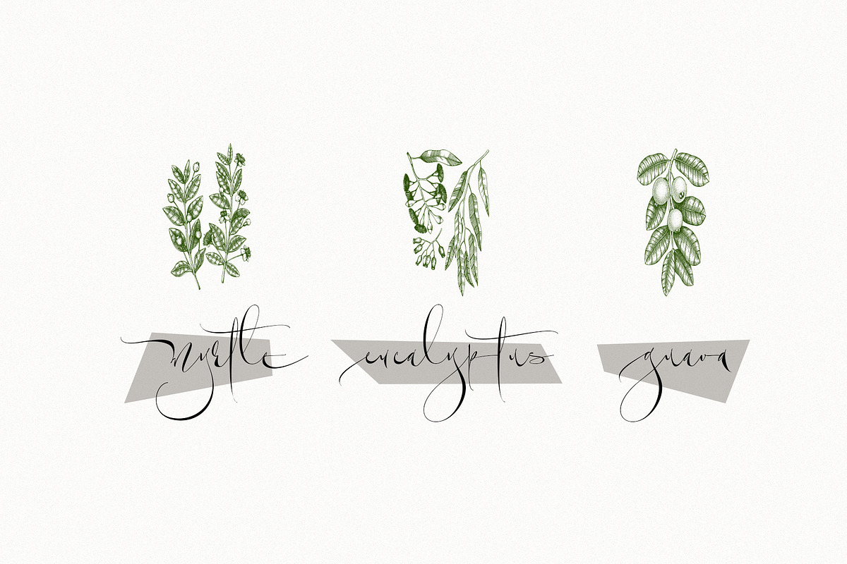 Permacultur, a Script Font by Papermode Co. (Photo 15 of 16)