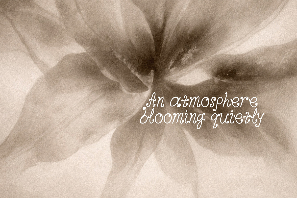 Herbarium Handwritten Font, a Handwritten Font by Lidberia (Photo 7 of 7)