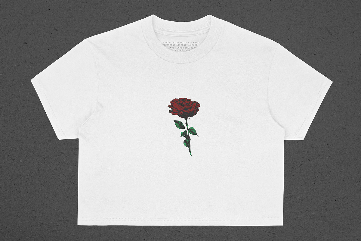 Realistic Crop Tee Mockup, an Apparel Mockup by Uncentrifuged Pressure (Photo 3 of 10)