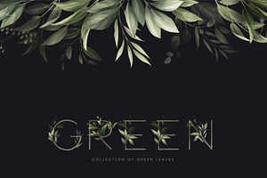 Green Leaves - Greenery Clipart