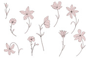 Dainty Floral Patterns Elements, a Pattern Graphic by Youandigraphics (Thumbnail 11 of 17)