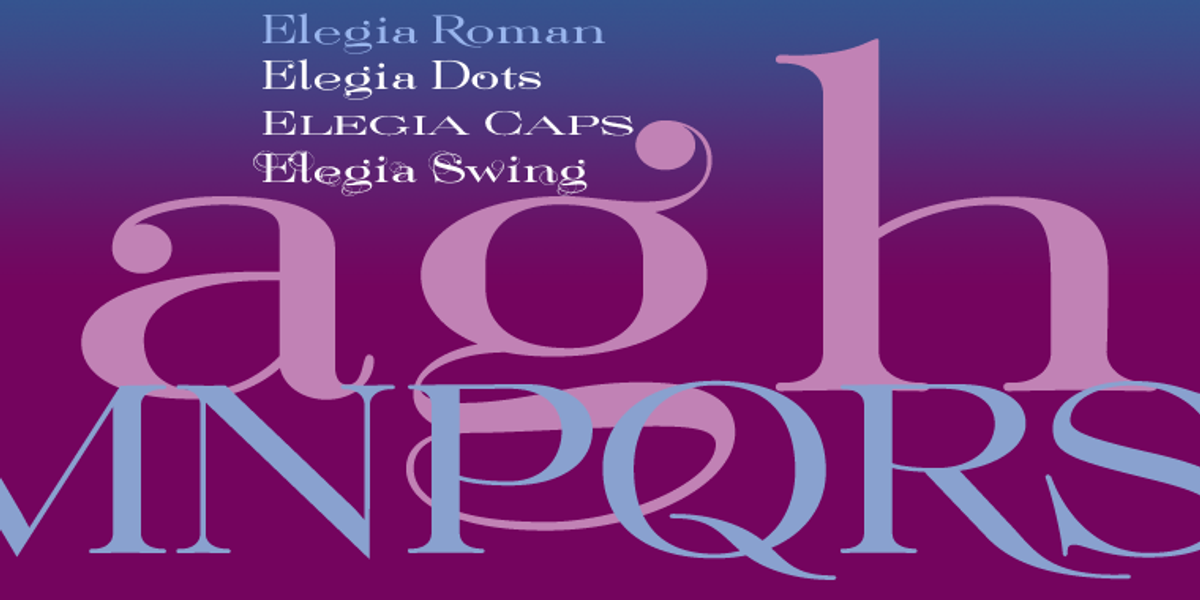 Elegia, a Serif Font by Wiescher-Design (Photo 2 of 5)