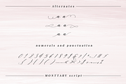 Monttary - Modern calligraphy font, a Script Font by Quothron (Thumbnail 6 of 6)