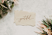 Celestine Script, a Script Font by Prestige Artsy Studio (Thumbnail 10 of 11)