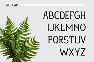 Evelina Serif Display Font