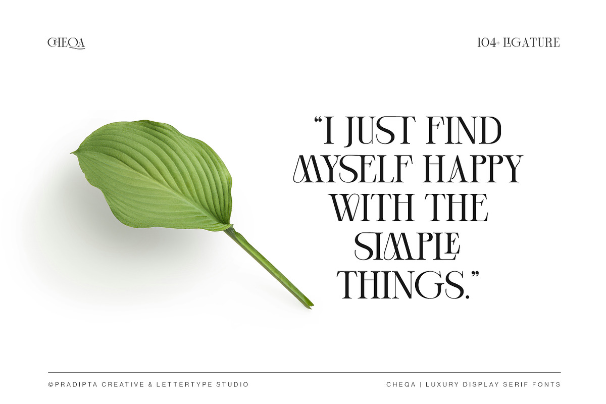 Cheqa a Luxury & Elegant Serif, a Serif Font by Lettertype Studio (Photo 7 of 15)