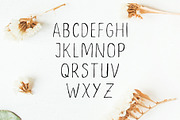 Ceica Handwritten Duo Font + Bonus, a Script Font by Creativetacos (Thumbnail 4 of 6)