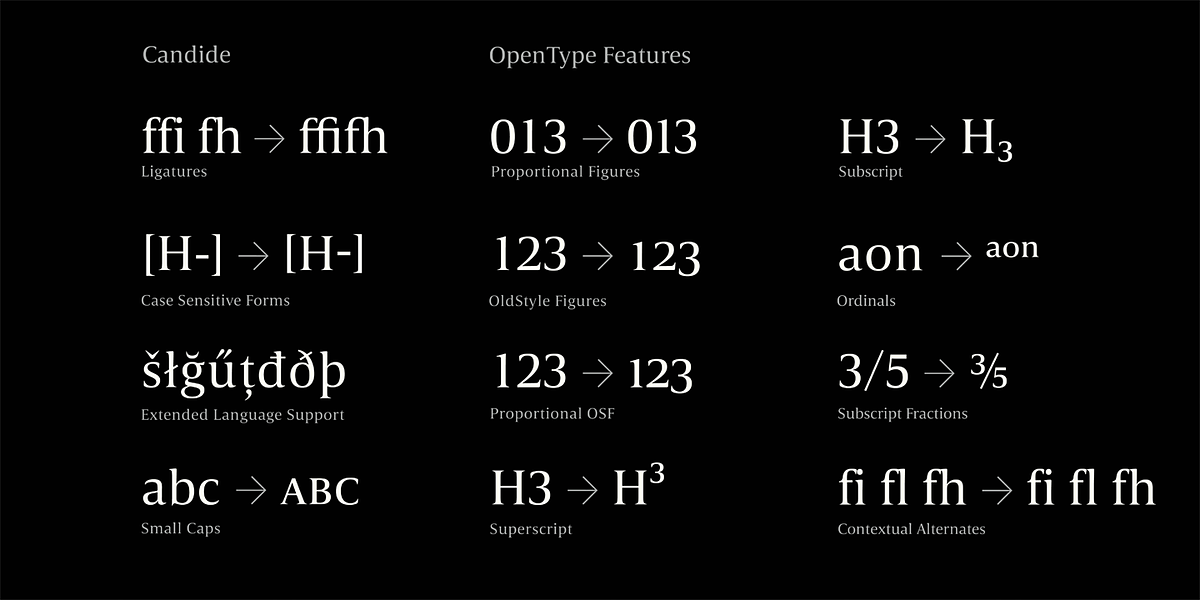 Candide, a Serif Font by Hoftype (Photo 11 of 16)