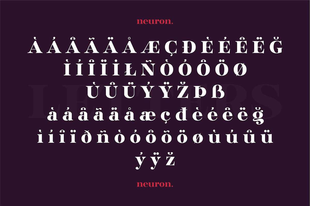 Glinde, a Serif Font by nurrontype (Photo 10 of 12)
