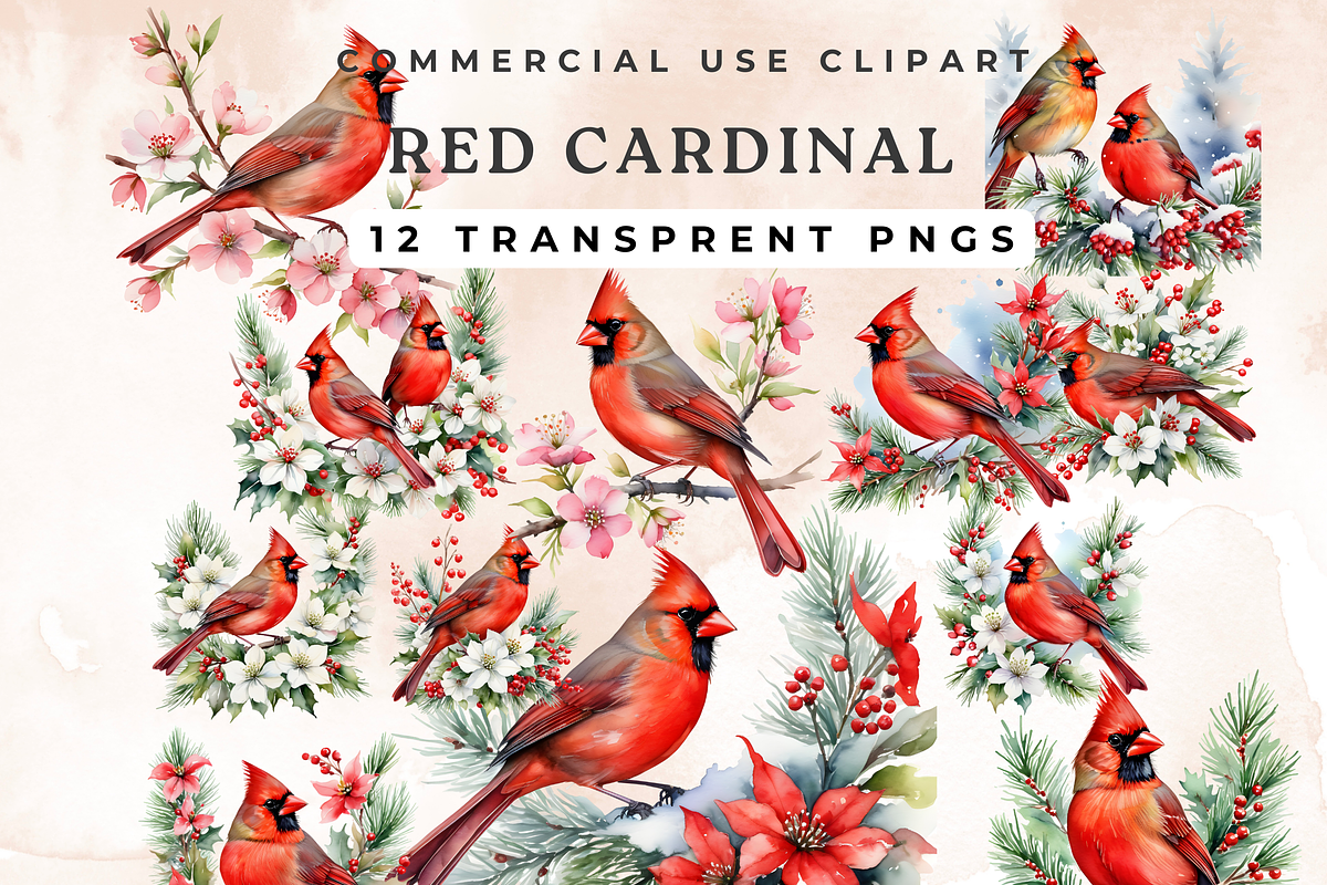 Red Cardinal Clipart,, an Animal Illustration by Anca Digital Vibe (Photo 1 of 6)