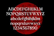 Fright Series – Horror Serif Font, a Serif Font by Yukita Creative (Thumbnail 5 of 8)