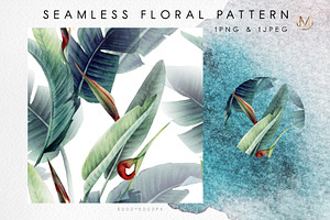 Tropical Patterns PNG JPEG