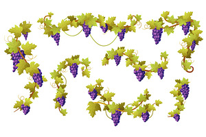 Cartoon vine grape. Sweet red grapes, a Graphic by LadadikArt