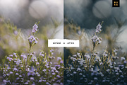 Moody Bay – 4 Pro Lightroom Presets, a Preset Add-On by SHOOM HOUSE (Thumbnail 7 of 9)