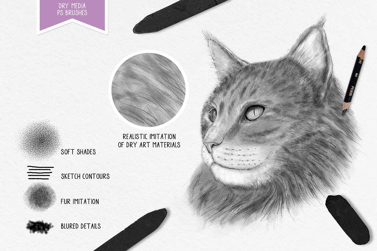 Dry media. Brushes for PS, a Brush Add-On by Leo Studio Design Lab (Photo 2 of 10)