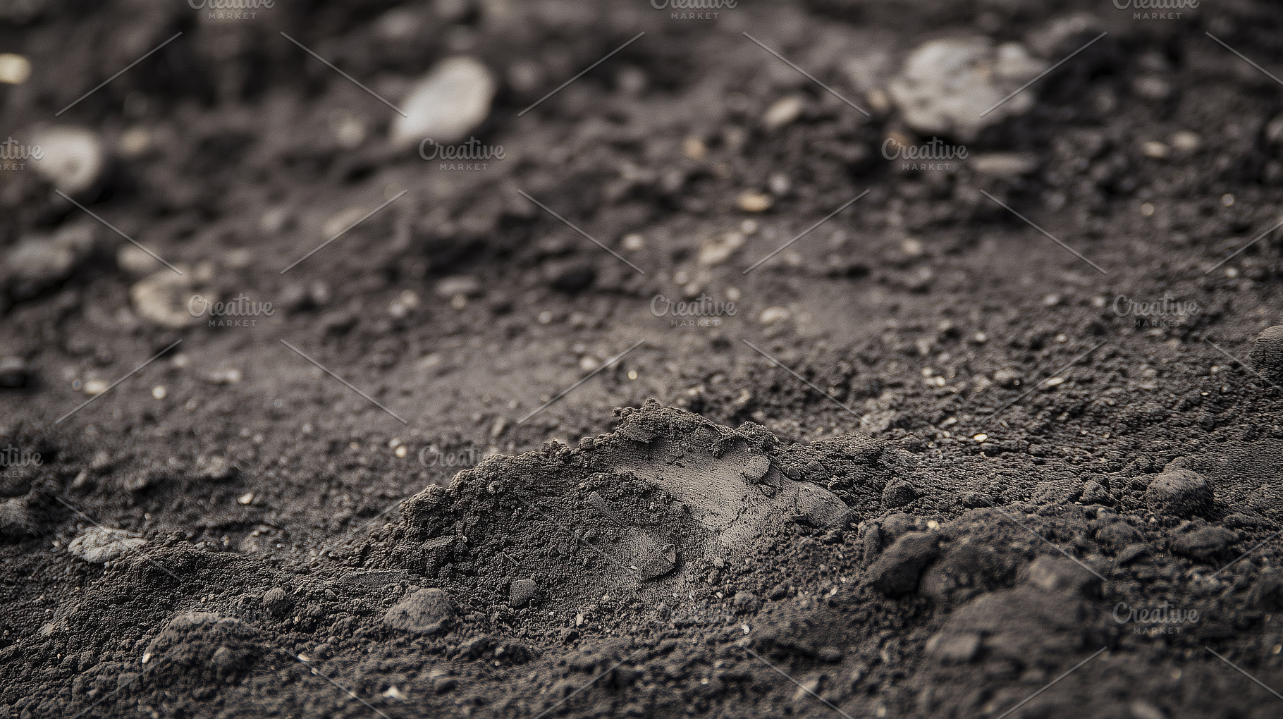 Close up on dark, rich soil, a Nature Photo by MistyDay