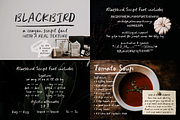 SALE! The SVG Font Bundle, a Handwritten Font by Ana's Fonts (Thumbnail 6 of 10)
