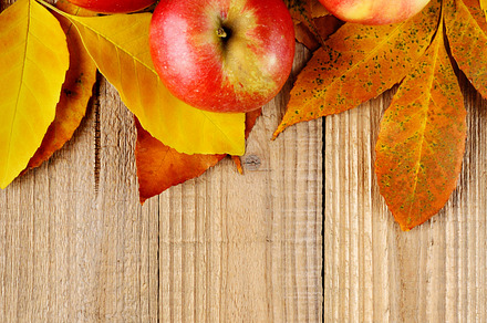 Three Apples On Autumn Leaves preview 6