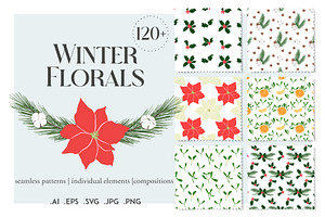Winter floral clipart collection