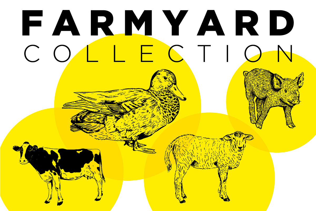 Farm Animal Illustration Collection, an Animal Illustration by Lettering Supply Co. (Photo 1 of 3)
