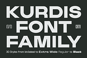 Kurdis Font Family (30 Styles), a Sans Serif Font by That That Creative (Thumbnail 1 of 15)