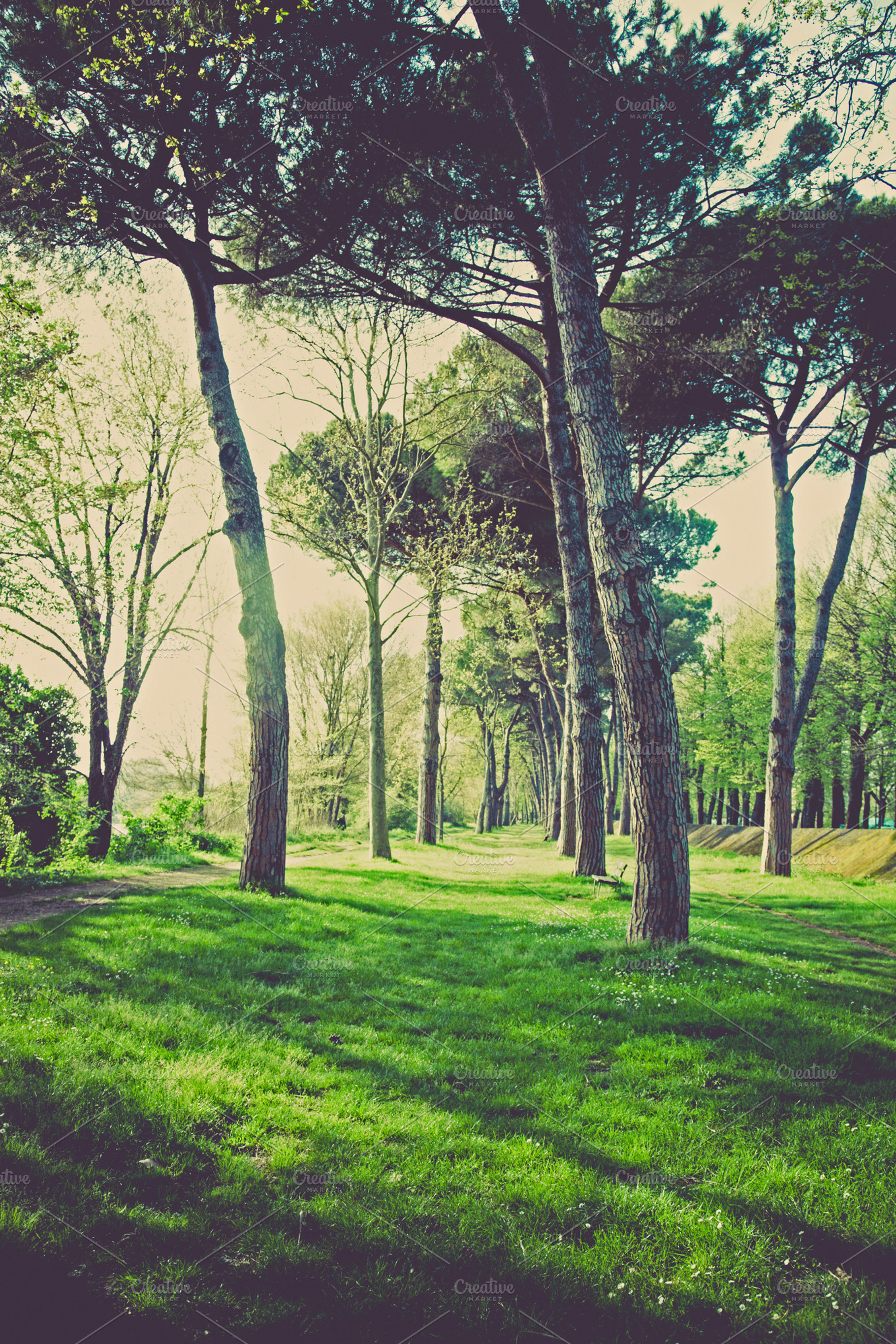Iseeyouphoto Park Stock Photo Containing Park And Nature