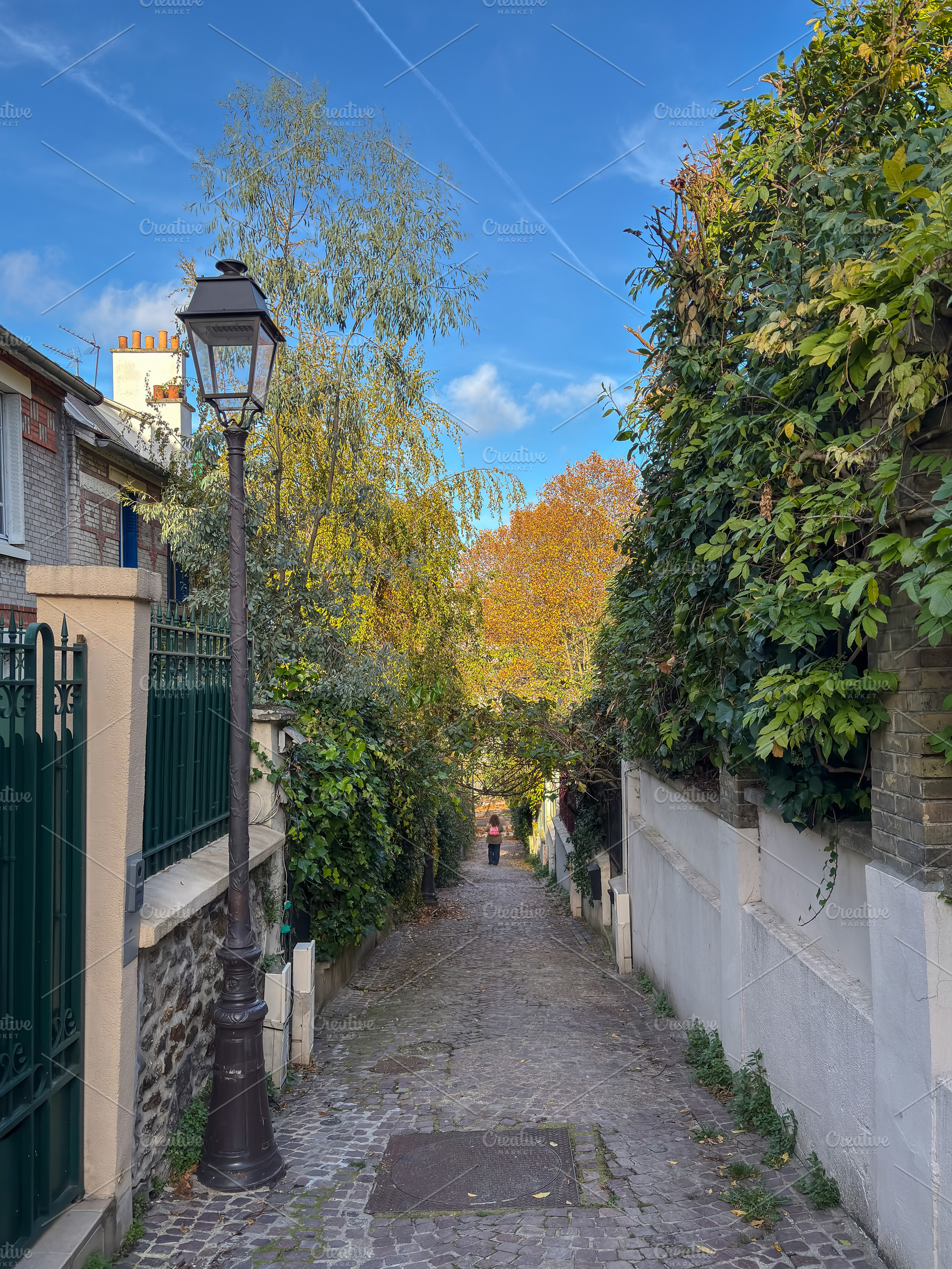 Steep Mouzaia cobblestone alley in Paris 19th district France, an Architecture Photo by GoodGoods
