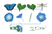 Blue Garden Clip Art Set, a Decorative Illustration by Tati Bordiu Digital (Thumbnail 2 of 2)