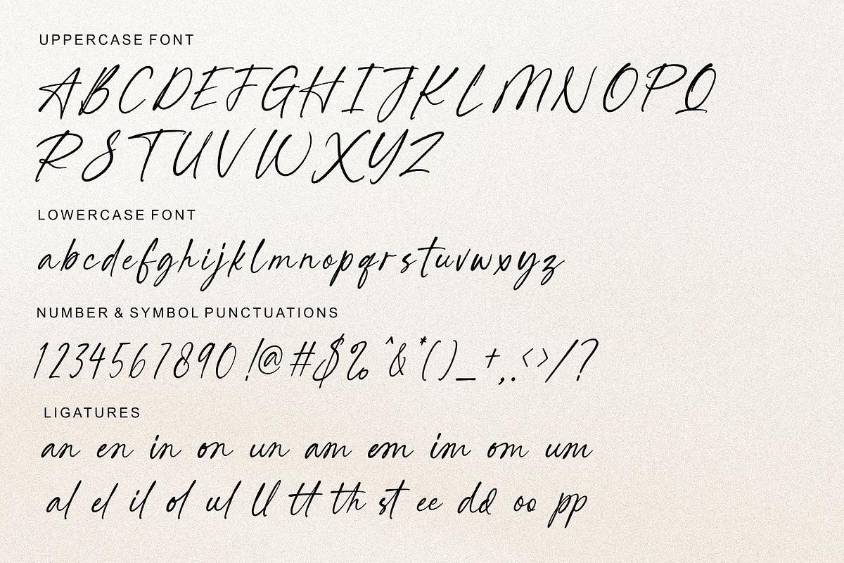 Seraphica Tropise, a Script Font by Shopifont.co (Photo 12 of 13)