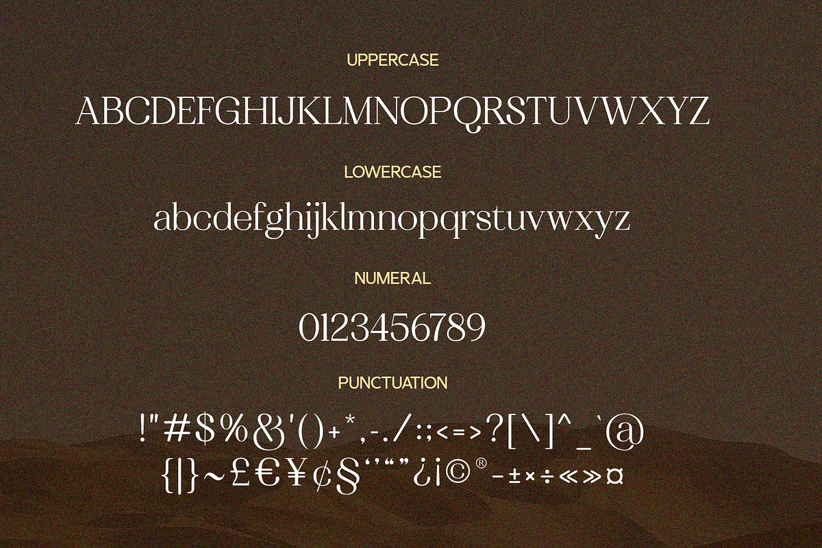 SS Geraldine - Beauty Serif Font, a Serif Font by Typocracy Studio (Photo 11 of 11)