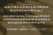 Brientsa Classic Script, a Handwritten Font by Portocraft (Thumbnail 10 of 10)