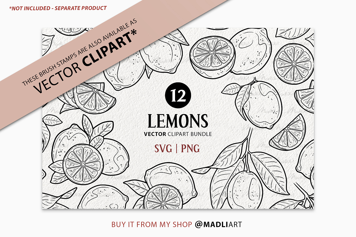 Lemon Fruit Procreate Brush Stamps, a Shape Add-On by MadliArt (Photo 5 of 5)