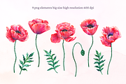 Watercolor poppies, an Illustration by TaityG (Thumbnail 2 of 7)
